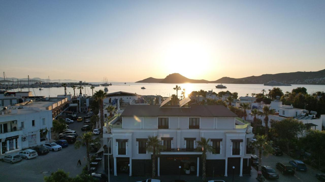 Sea Palm Otel Yalıkavak Buitenkant foto